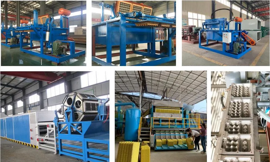 Waste Paper Egg Tray Molding Machine Rotational Egg Tray Machine